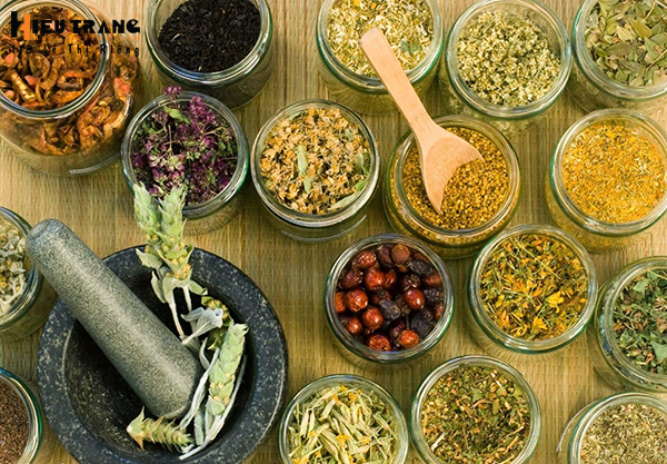 thuốc nhuộm m&agrave;u thảo dược